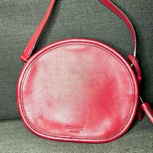 Designer Canteen Crossbody Bag Purse
